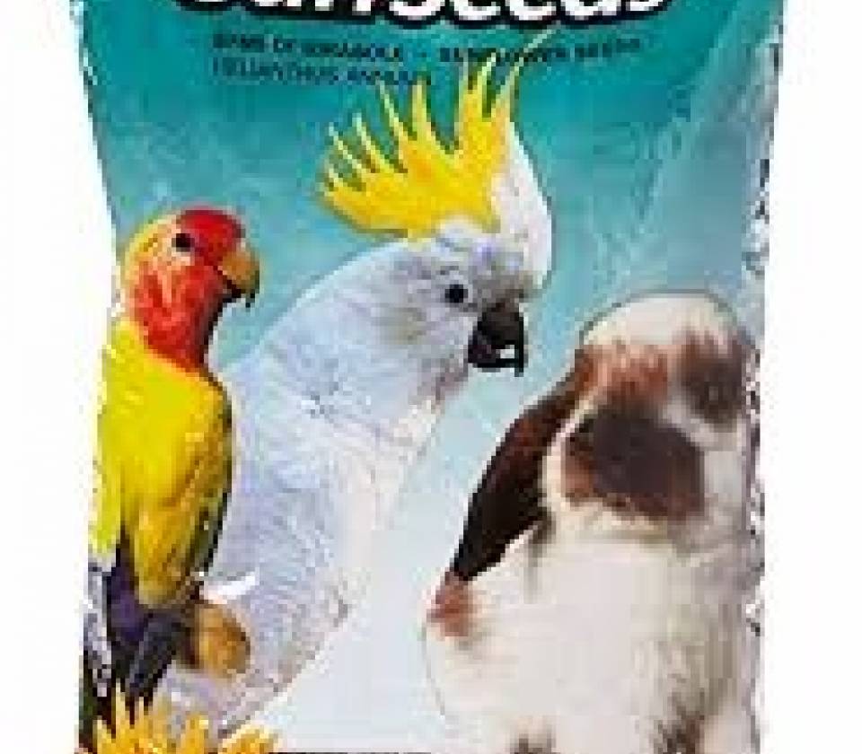 Padovan sun seeds ( krupni suncokret ) 0.5kg