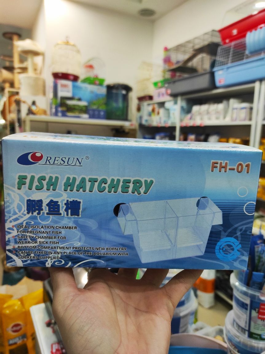 Velika mrestilica za akvarijume