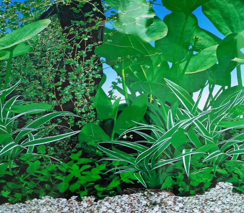 Ukrasna tapeta za akvarijume 2 40cm